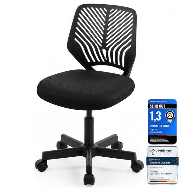 💺 Ergoreal ergonomischer Bürostuhl ohne Armlehne für 30,49€ (statt 50€)