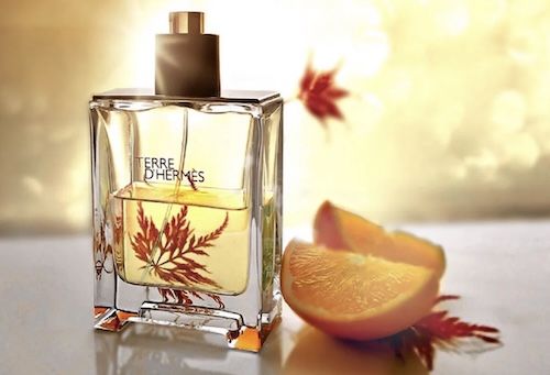 🧔‍♂️ 2x Hermès Terre dHermès EdT, 50 ml für 34,99€ (statt 72€)   Parfumo #17!