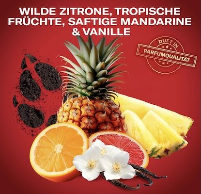 🧴 1 L Old Spice Wolfthorn Super Mario Special Edition 3 in 1 Duschgel für 7,64€ (statt 9€)   Prime