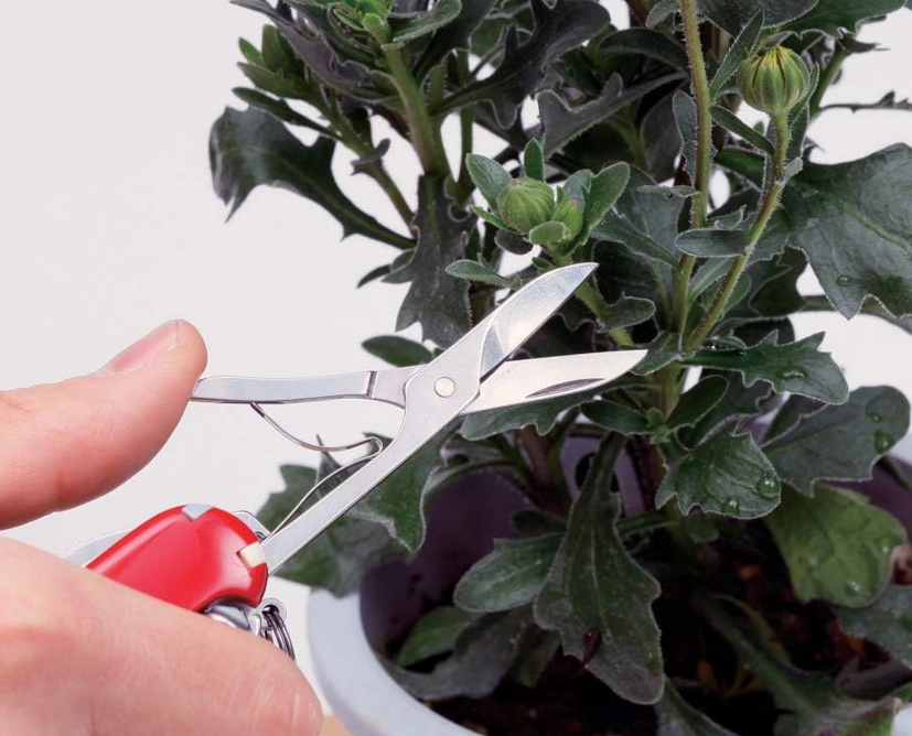 🇨🇭🔪 Victorinox Wenger Schweizer Taschenmesser Multitool für 24,53€ (statt 32€)