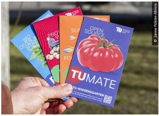 🍅 TU Berlin: Gratis Gemüsejungpflanzen