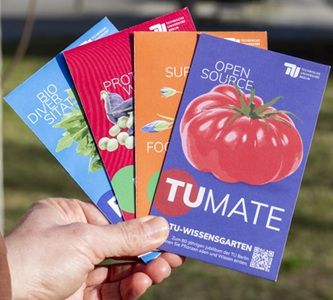 🍅 TU Berlin: Gratis Gemüsejungpflanzen