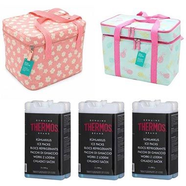 🧺 2x Tragbare Picknicktasche oder 12x Thermos Kühlakku für 9,98€ (statt 20€)