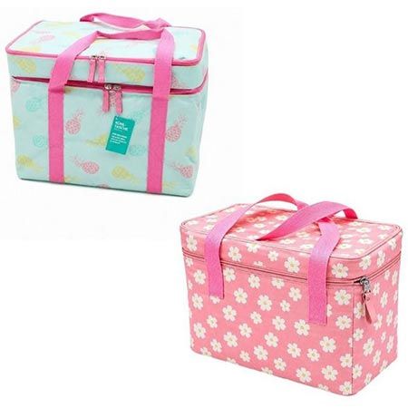 🧺 2x Tragbare Picknicktasche mit zwei Kühlfächern in 2 Designs für 9,98€ (statt 20€)