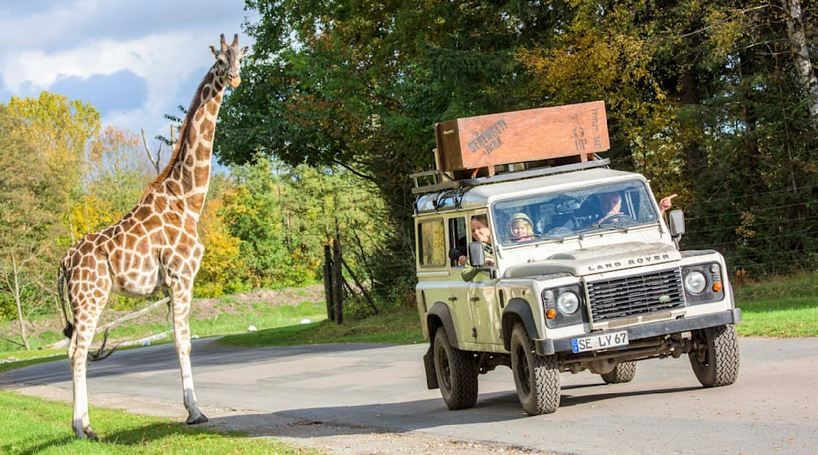 🐅 BILDplus: Kostenloser Eintritt im Serengeti Park am 30.05. + 31.05 ab 13:30 Uhr 🐅 BILDplus: Kostenloser Eintritt im Serengeti Park am 30.05. + 31.05 ab 13:30 Uhr