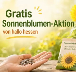 🌻 HR: Kostenlose Sonnenblumensamen
