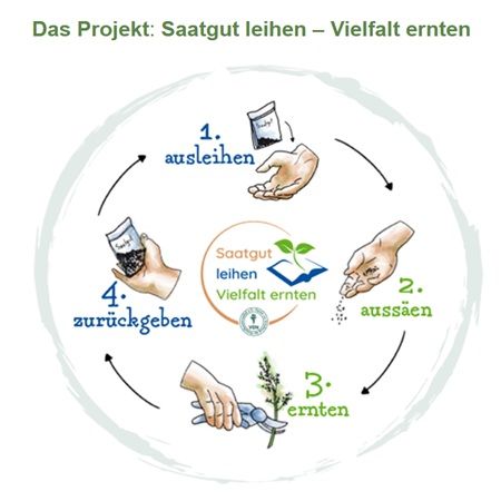 🍆VEN: Gemüse Saatguttütchen in einer Bibliothek gratis abholen