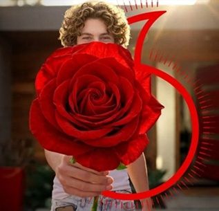 🌹 Kostenlose Rose für den Muttertag bei Vodafone am 09.05. sichern