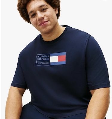 👕 Tommy Hilfiger BT Tommy Embro Flag Herren T Shirt ab 21,51€ (statt 29€)