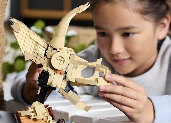 🦖 LEGO Jurassic World - Dinosaurier-Fossilien: Triceratops-Schädel (76969) ab 27,74€ (statt 35€) 🦖 LEGO Jurassic World Dinosaurier Fossilien: Triceratops Schädel (76969) ab 27,74€ (statt 35€)