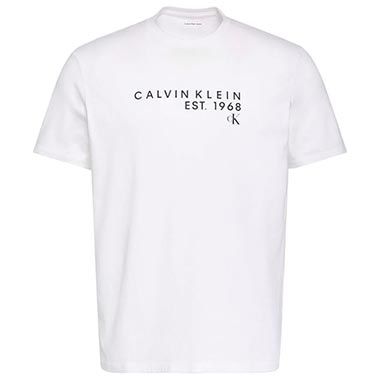👕 Calvin Klein 30s Eu Wholesale Graphic Tee T-Shirt für 20,31€ (statt 29€)