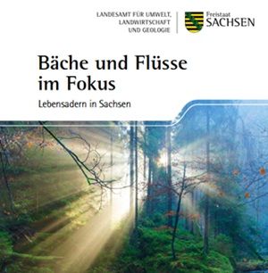 Sachsen.de- Notizblock gratis: Bäche und Flüsse im Fokus – Lebensadern in Sachsen