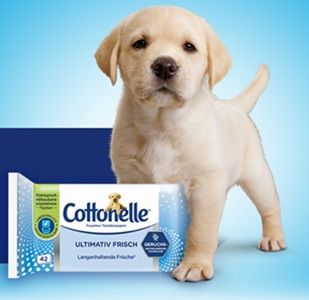 Cottonelle Feuchtes Toilettenpapier Ultimativ Frisch kostenlos ausprobieren