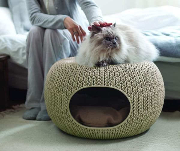 🐈🐕 Curver Cozy Haustierhöhle & Bett für 39,99€ (statt 81€)