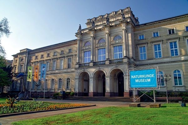 Hitze frei im Naturkundemuseum Karlsruhe bis zum 28.06.2026