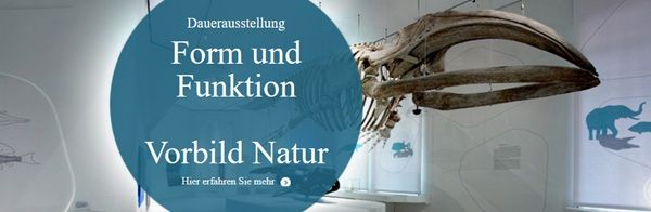 Hitze frei im Naturkundemuseum Karlsruhe bis zum 28.06.2026