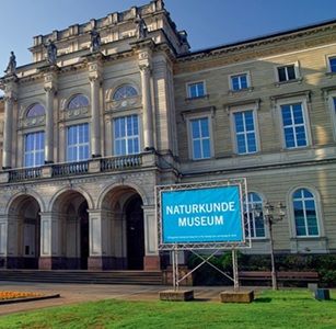 Hitze-frei im Naturkundemuseum Karlsruhe bis zum 28.06.2026