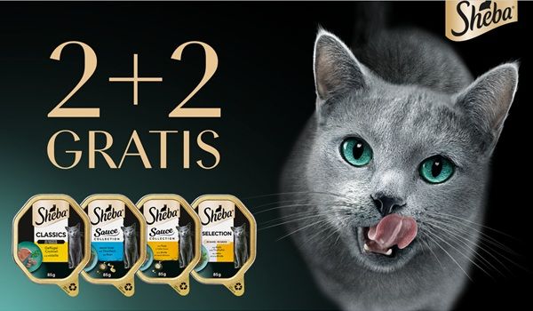 SHEBA gratis ausprobieren   2+2 Aktion