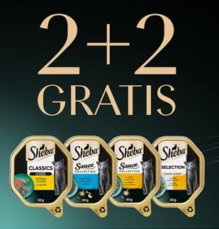 SHEBA gratis ausprobieren – 2+2-Aktion