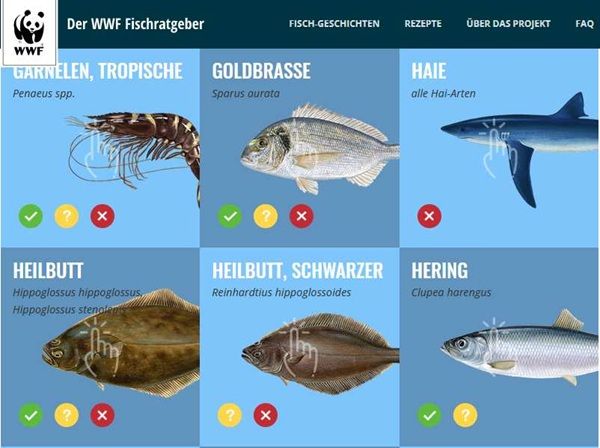 WWF: Fischratgeber gratis bestellen