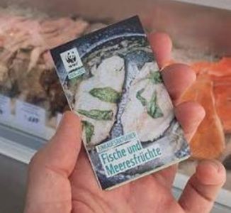 WWF: Fischratgeber gratis bestellen