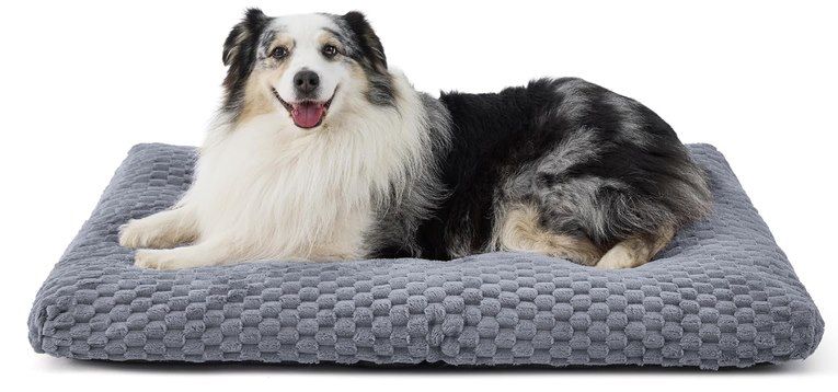🐕 Bis zu 48% Rabatt auf BEDSURE Hundebett aus Fleece z.B. in L für 16,79€ (statt 30€) 🐕 Bis zu 48% Rabatt auf BEDSURE Hundebett aus Fleece z.B. in L für 16,79€ (statt 30€)