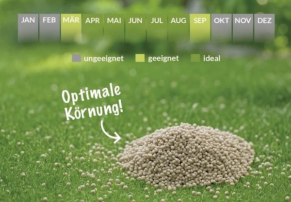 🌱 TerraDomi Sommer NPK-Profidünger mit Schwefel, 20 kg für 38,36€ (statt 48€) 🌱 TerraDomi Sommer NPK Profidünger mit Schwefel, 20 kg für 38,36€ (statt 48€)