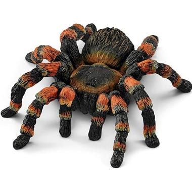🕷️ schleich Wild Life Vogelspinne Tierfigur (14829) für 4,19€ (statt 7€)