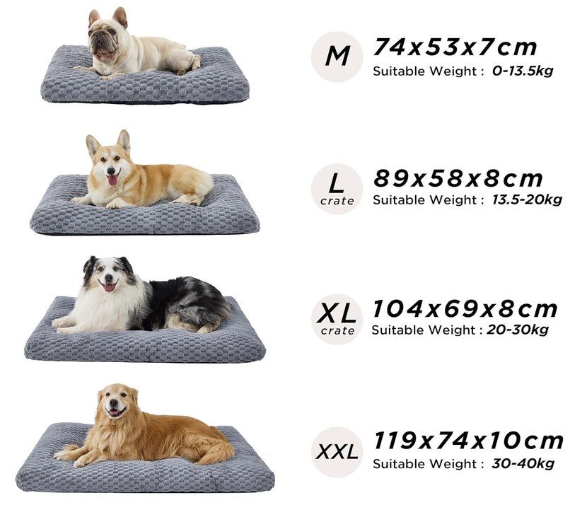🐕 Bis zu 48% Rabatt auf BEDSURE Hundebett aus Fleece z.B. in L für 16,79€ (statt 30€) 🐕 Bis zu 48% Rabatt auf BEDSURE Hundebett aus Fleece z.B. in L für 16,79€ (statt 30€)