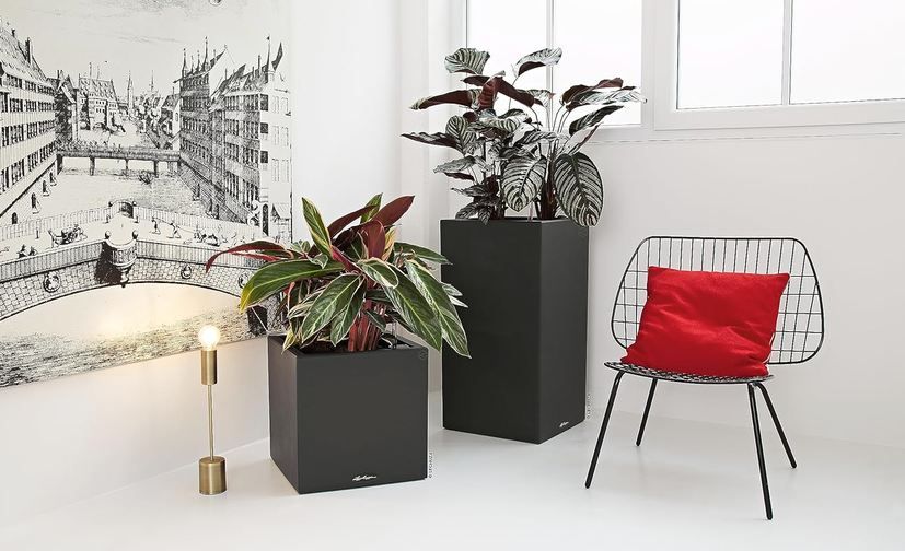 🪴 Lechuza Canto Stone Low 40 Topf mit Bewässerungssystem für 59,95€ (statt 69€)