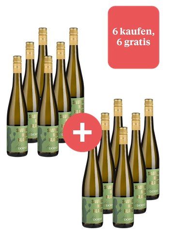 🍷 WEINFREUNDE: 12 Flaschen Wein bekommen & nur 6 bezahlen