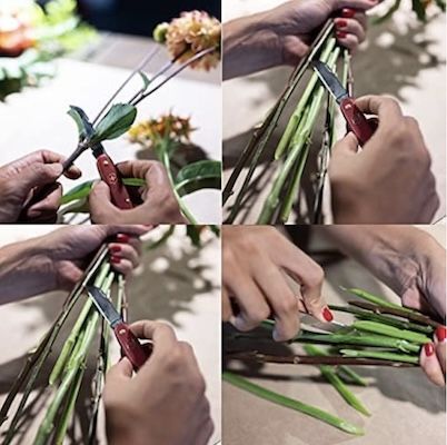 🇨🇭🔪 Victorinox Blumenmesser für 12,50€ (statt 19€) 🇨🇭🔪 Victorinox Blumenmesser für 12,50€ (statt 19€)