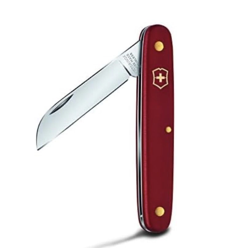 🇨🇭🔪 Victorinox Blumenmesser für 12,50€ (statt 19€)