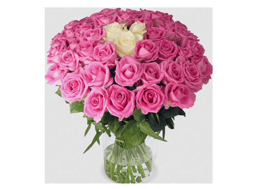 🌹💐 Pink Spezial – 50 Weiße und pinke Rosen für 37,68€