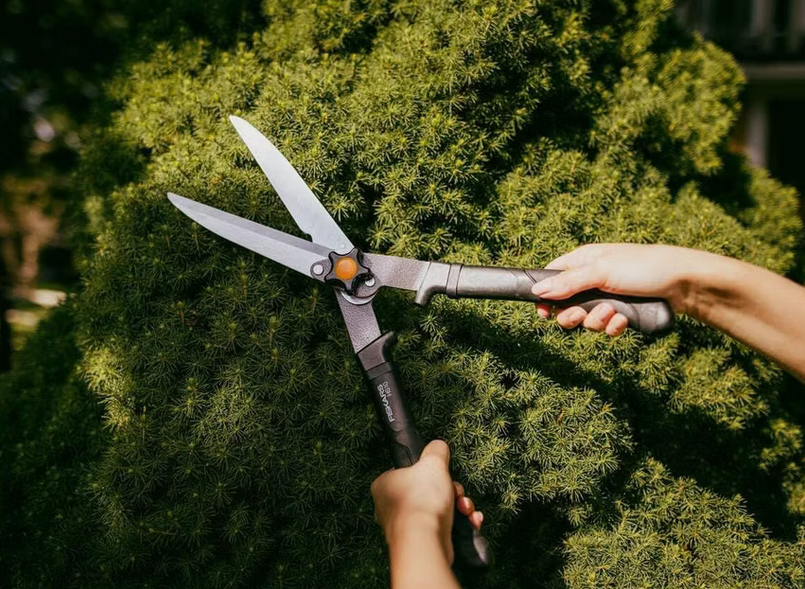 ✂️ Fiskars Ast-, Hecken- & Gartenscheren Set für 45,90€ (statt 70€) ✂️ Fiskars Ast , Hecken & Gartenscheren Set für 45,90€ (statt 70€)