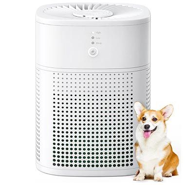 🌪️ Meronte Luftreiniger mit Aromatherapie & Filtersystem für 27,99€ (statt 40€)