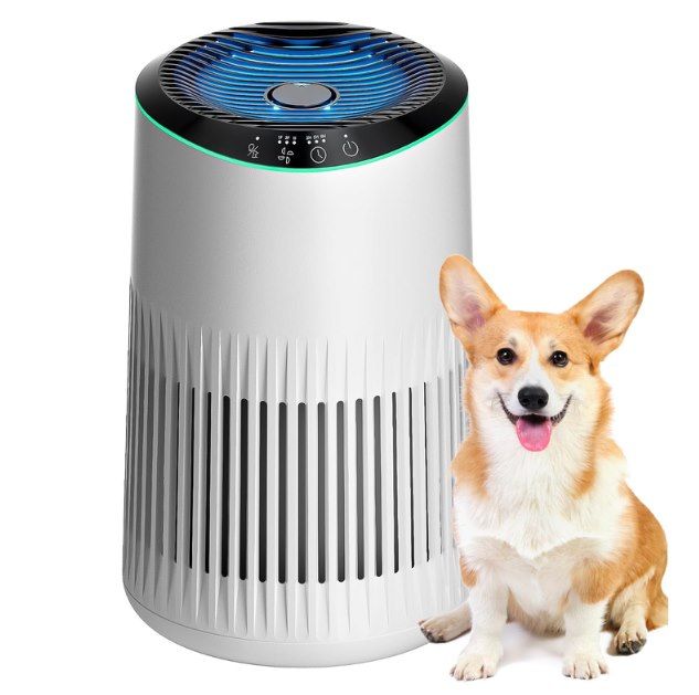 💨 MERONTE MR2566 Luftreiniger mit Aroma Funktion für 29,99€ (statt 40€)