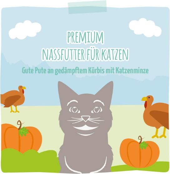 🐈 12er Pack MjAMjAM Pute an gedämpftem Kürbis Futter ab 9,53€ (statt 19€)