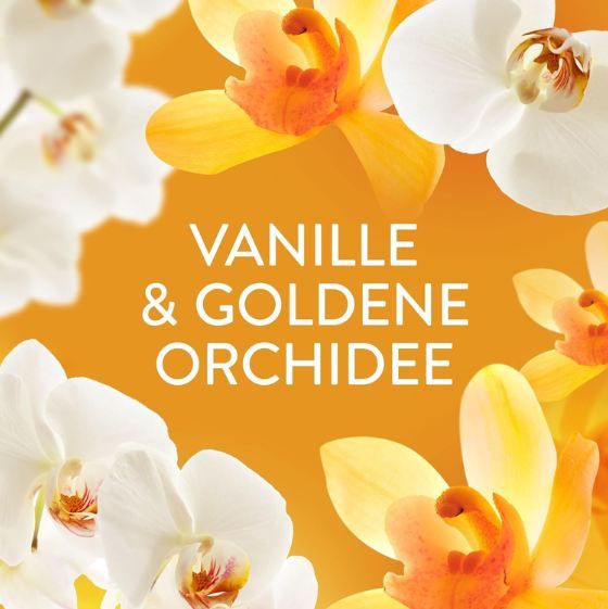 🧼 2er Pack Lenor Wäscheparfüm Goldene Orchidee 495g für 16,98€ (statt 20€) 🧼 2er Pack Lenor Wäscheparfüm Goldene Orchidee 495g für 16,98€ (statt 20€)