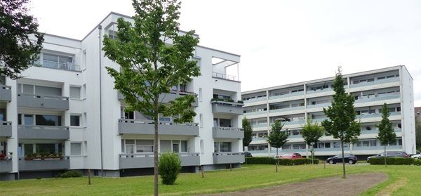 đłFriedrichshafen verschenkt JungbĂ€ume đłFriedrichshafen verschenkt JungbĂ€ume