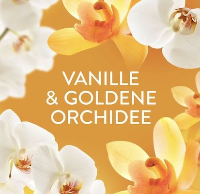 🧺 495g Lenor Wäscheparfüm Goldene Orchidee für 8€ (statt 11€) 🧺 495g Lenor Wäscheparfüm Goldene Orchidee für 8€ (statt 11€)