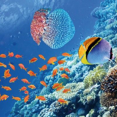 🚢💨 15 Tage Ägypten: 5* Nilkreuzfahrt inkl. ☀️ Badeurlaub (HC 92%) ab 699€ p.P.