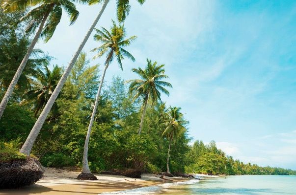 ☀️ Thailand Rundreise mit 4 & 5-Sterne-Hotel inkl. HP 🇹🇭 ab 1.333€ p.P. (statt 1.699€) ☀️ Thailand Rundreise mit 4 & 5 Sterne Hotel inkl. HP 🇹🇭 ab 1.333€ p.P. (statt 1.699€)