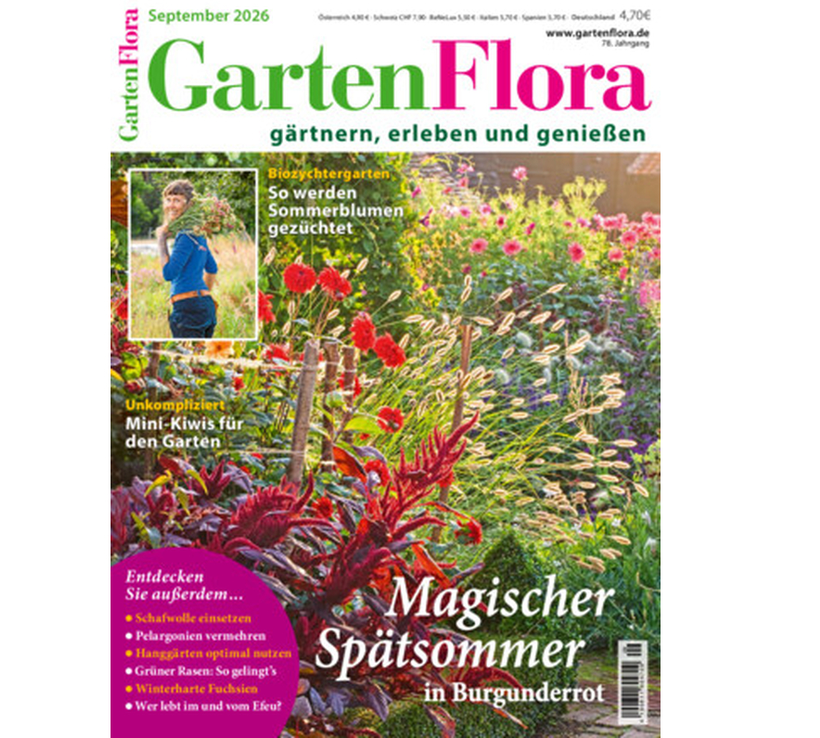 👩‍🌾 Gartenflora 3 Ausgaben gratis + 8,95€ VSK (statt 15€) – keine Kündigung nötig