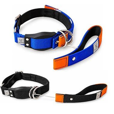 🐕‍🦺 WowWow Hundehalsbänder mit Leine Sets für 31,49€ (statt 60€) – Refurb.