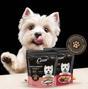 🐕 CESAR® Hunde-Trockenfutter gratis ausprobieren