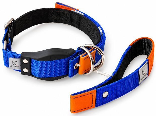 🐕🦺 WowWow Hundehalsbänder mit Leine Sets für 31,49€ (statt 60€) - Refurb. 🐕🦺 WowWow Hundehalsbänder mit Leine Sets für 31,49€ (statt 60€) Refurb.