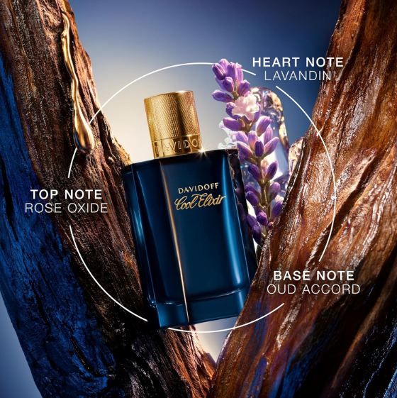 👃🏻 Davidoff Cool Elixir Oud Parfum Intense, 100ml für 41,27€ (statt 53€) 👃🏻 Davidoff Cool Elixir Oud Parfum Intense, 100ml für 41,27€ (statt 53€)