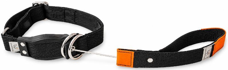 🐕🦺 WowWow Hundehalsbänder mit Leine Sets für 31,49€ (statt 60€) - Refurb. 🐕🦺 WowWow Hundehalsbänder mit Leine Sets für 31,49€ (statt 60€) Refurb.