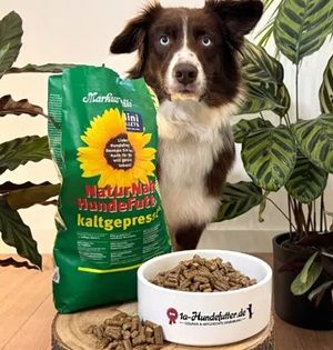 🐕🐈  Markus Mühle: Zwei kostenlose Futterproben anfordern